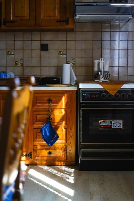 A kitchen or kitchenette at Traditional cozy residence in Lafkos, Pelion