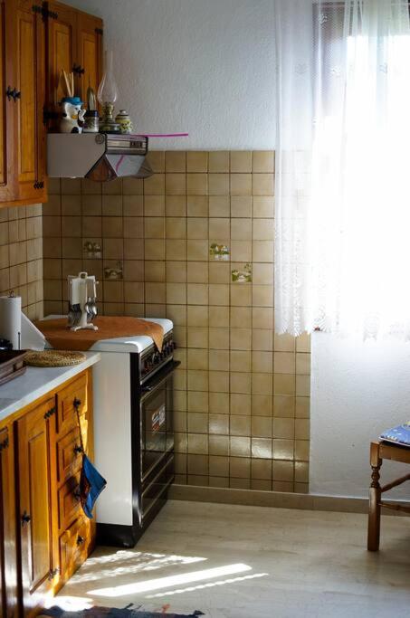A kitchen or kitchenette at Traditional cozy residence in Lafkos, Pelion