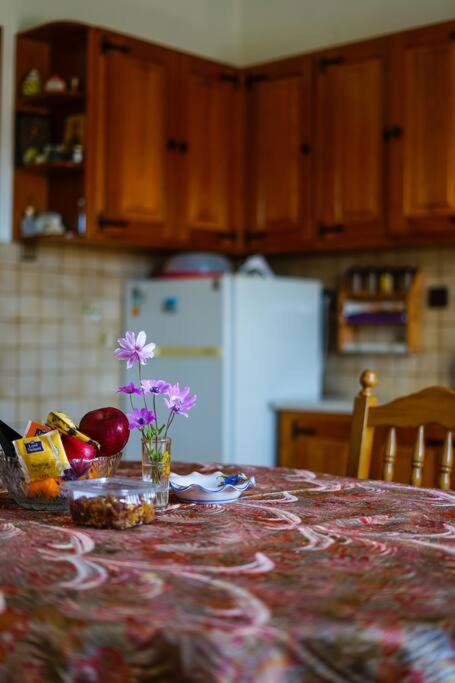 A kitchen or kitchenette at Traditional cozy residence in Lafkos, Pelion