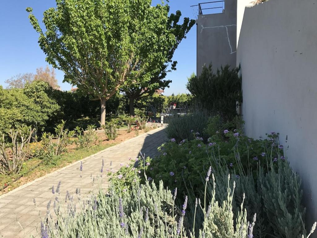 Vonkajšia záhrada v ubytovaní Villa apartment with private garden near the beach