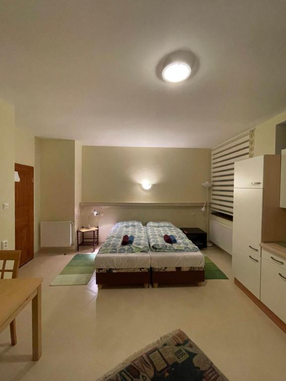 a large bedroom with a bed in a room at Apartmán Brooklyn in Skalica
