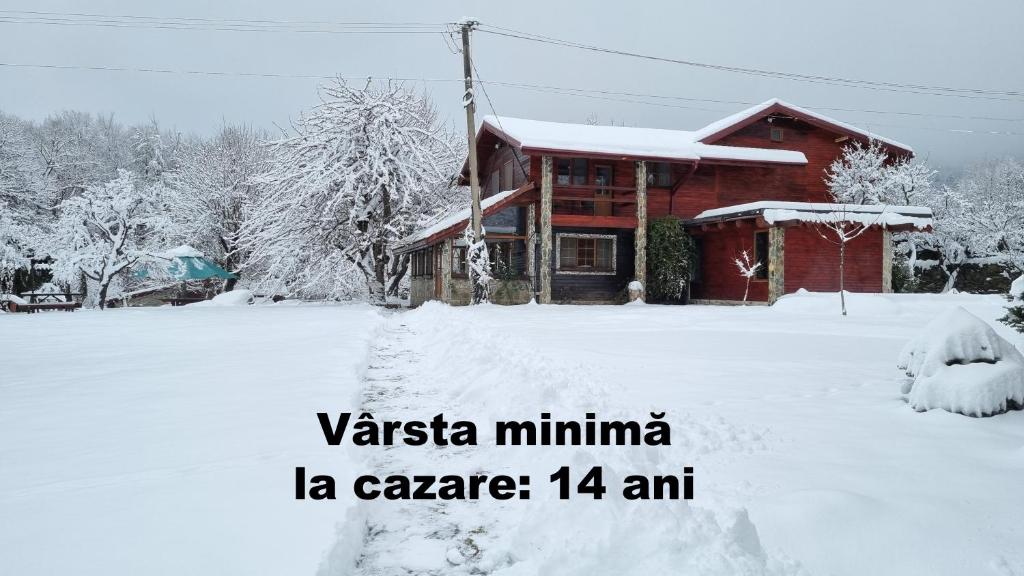 Casa Bunicului v zimě