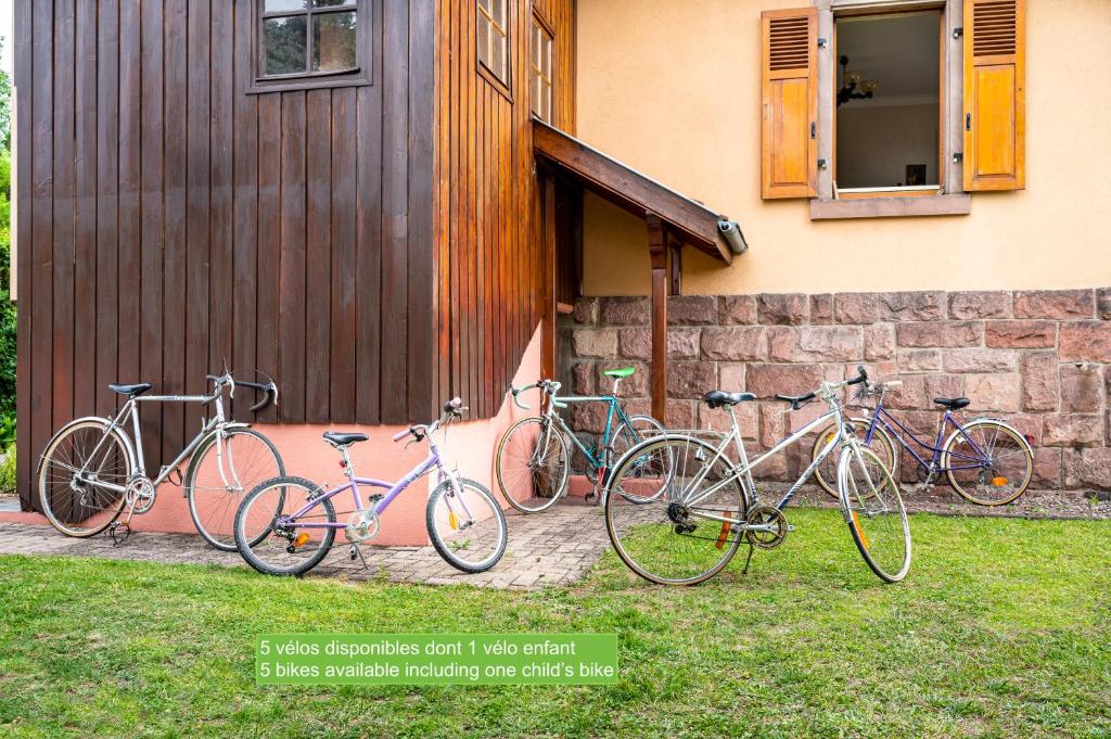 La Maison de Vacances de Colmar et son jardin – photo 32