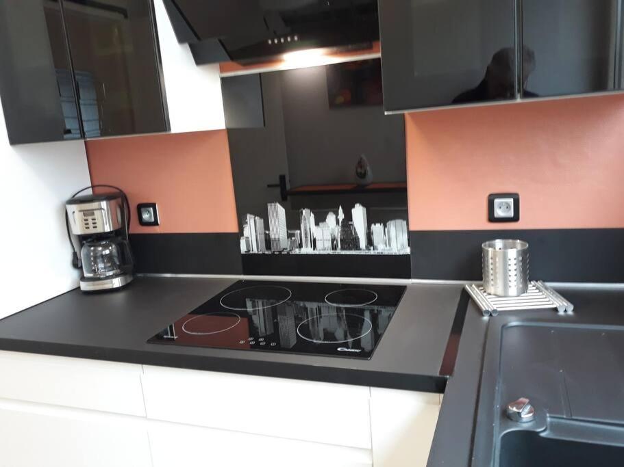 Kuchyňa alebo kuchynka v ubytovaní Bel appartement centre Rouen avec terrasse