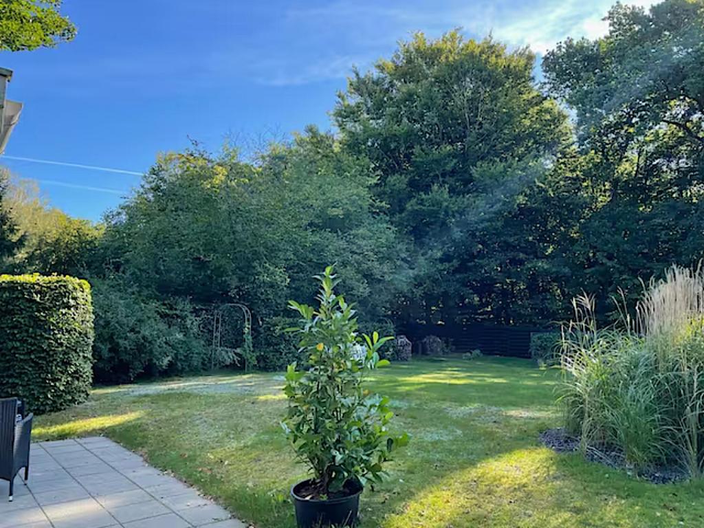 a garden with a potted plant in the grass at Cozy private annex near bathing lake and 30 min. from Copenhagen in Slangerup