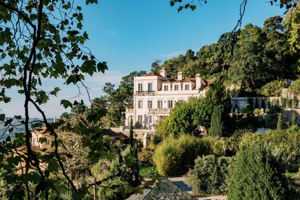 duży biały dom na wzgórzu z drzewami w obiekcie Quinta da Bella Vista - Historic Home and Farm w mieście Sintra