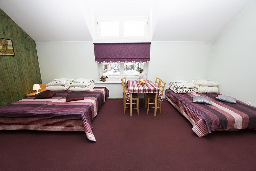 Drusva Apartamentai - Studio