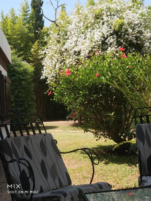 dos bancos en un patio con un arbusto con flores rosas en Verano, en Punta del Este