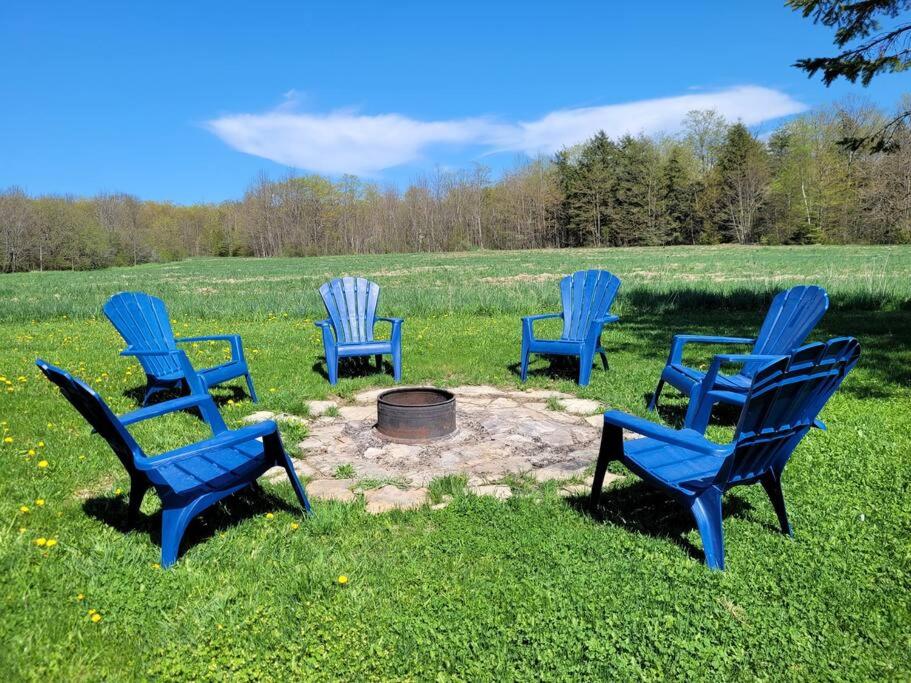 four blue chairs sitting around a fire pit in a field at Family friendly cottage ☆walking distance to beach in Lion's Head