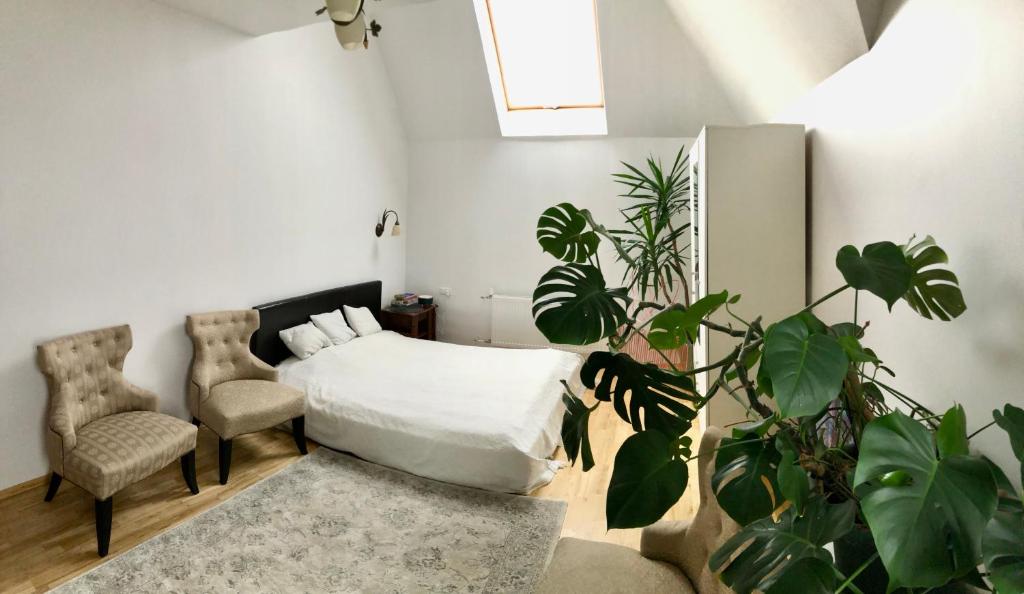 una camera con letto, sedia e piante di Cozy house with spacious backyard a Akademija