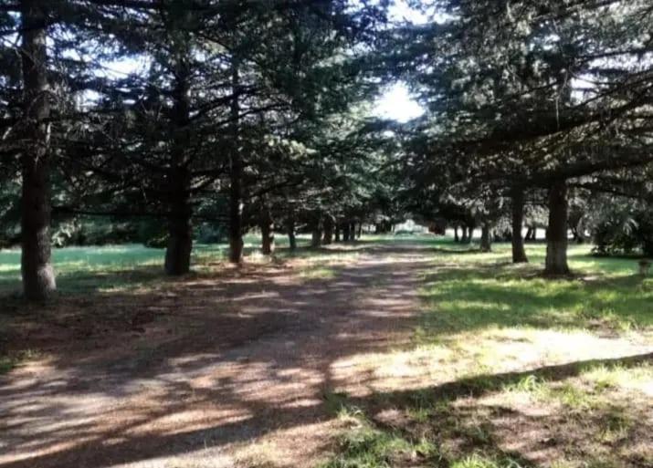 La Zelinda casa de campo - Housity