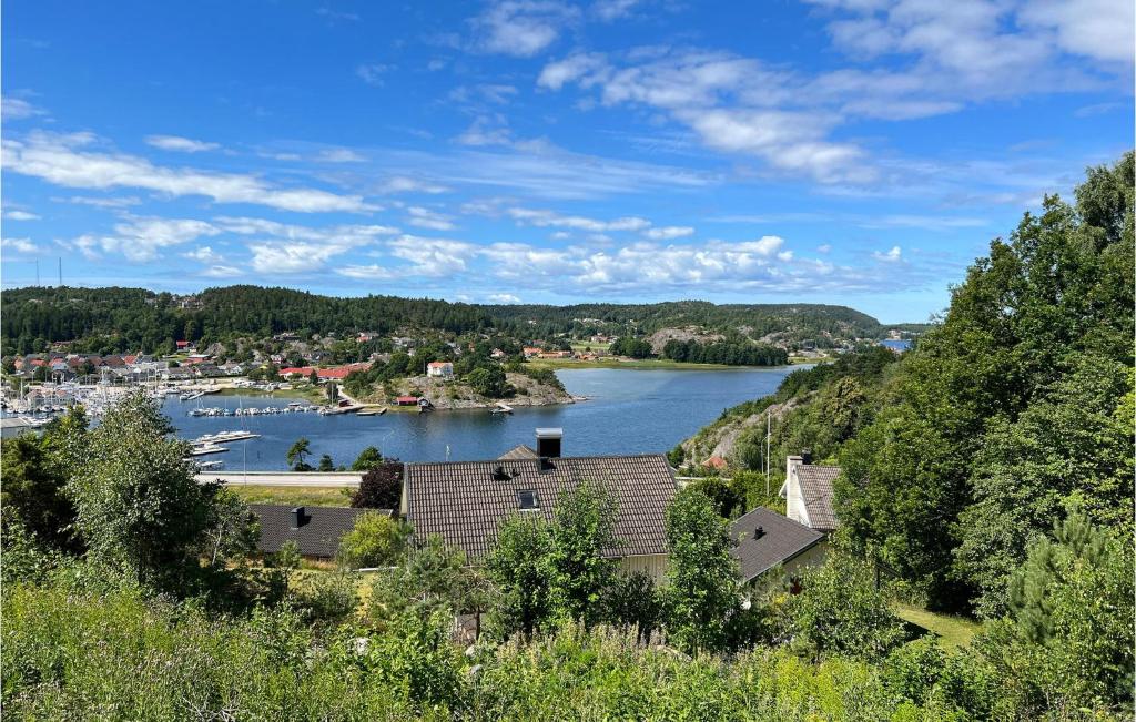 arial view of a river with a town and a harbor at Lovely Apartment In Henn With Wifi in Henån