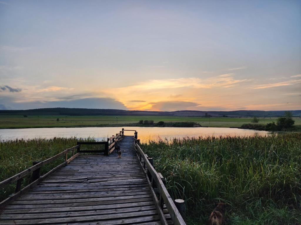 un puente de madera sobre un cuerpo de agua en Reedbuck Lodge, en Amsterdam