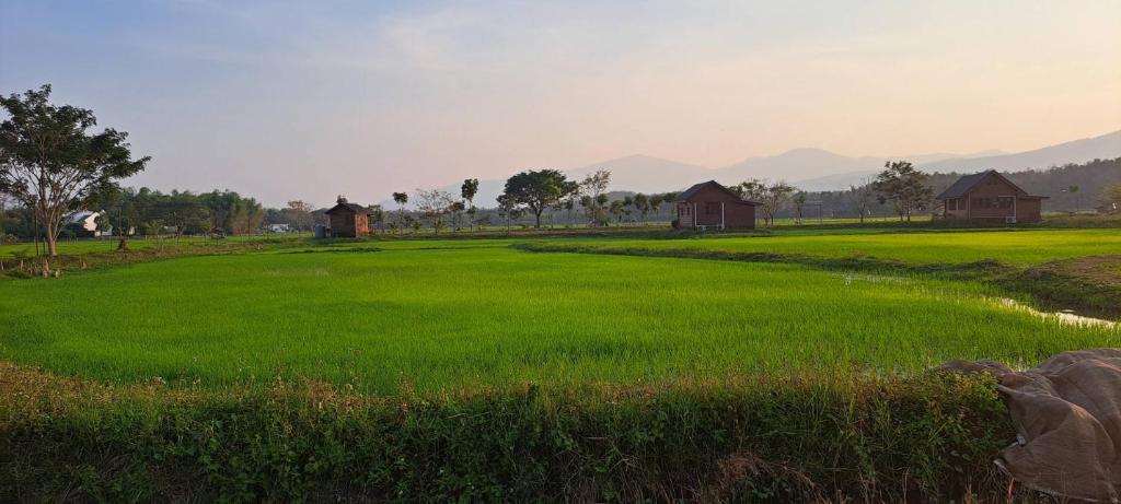 DGD Chiangmai - Budget Tweepersoonskamer