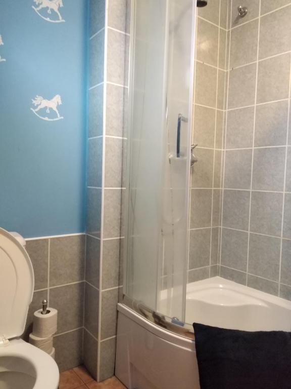 Koupelna v ubytování Apartmány Černá Říčka