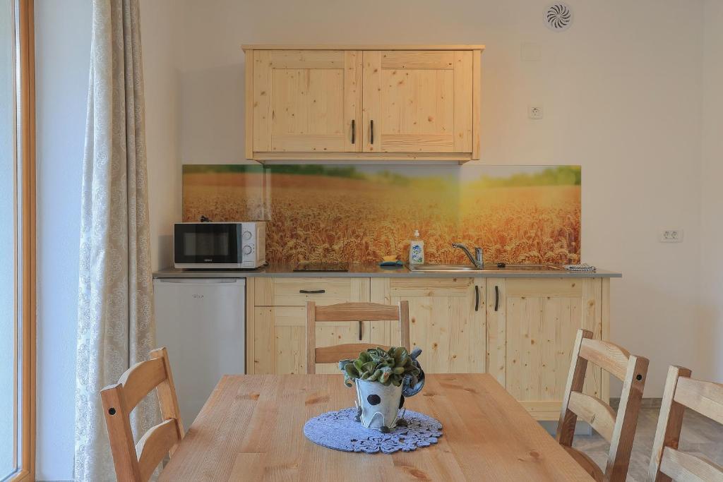 Kuchyň nebo kuchyňský kout v ubytování Apartments Mulej