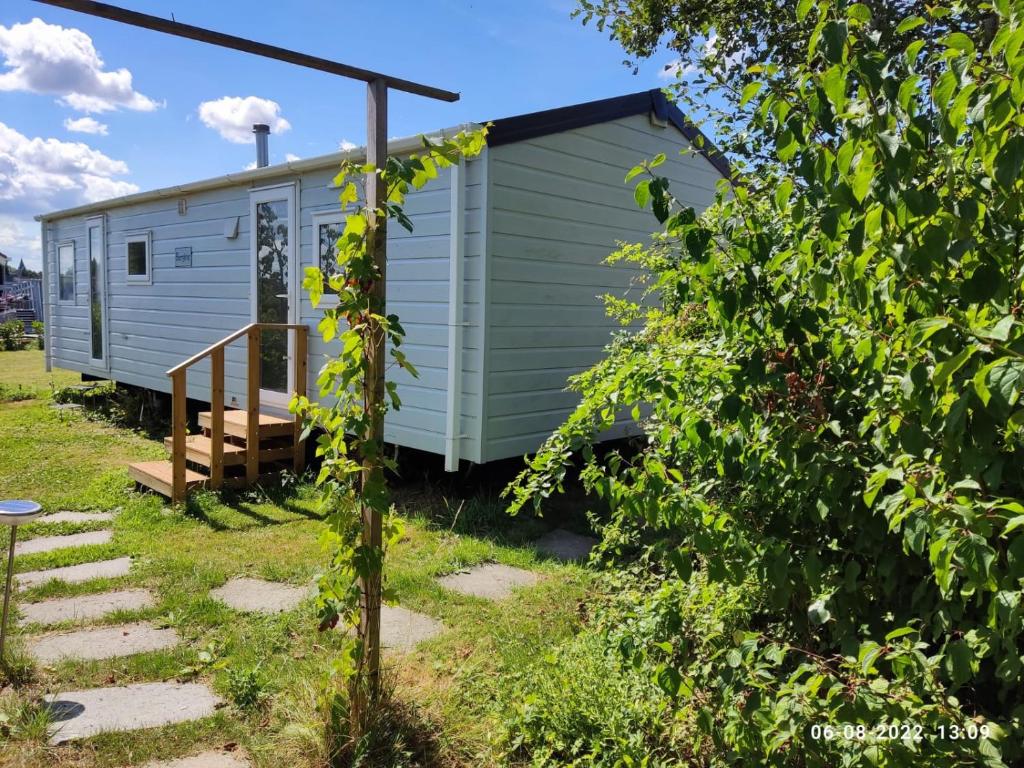 a blue tiny house in a yard with a tree at mini-camping 't Bergje in Serooskerke