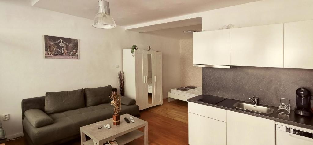 salon z kanapą i kuchnią w obiekcie Kardinal Studios w Wiedniu