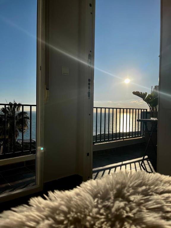 Táj az apartman közelében