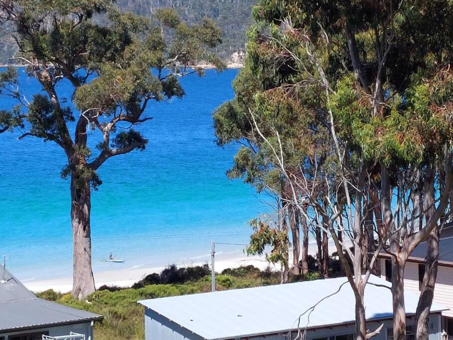 a view of the ocean from a house with trees at The Beach Box at Big Roaring Beach Tasmania in Surveyors Bay