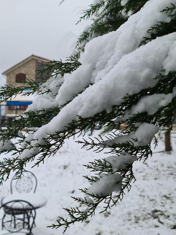 La pommeraie d'Ifrane v zimě