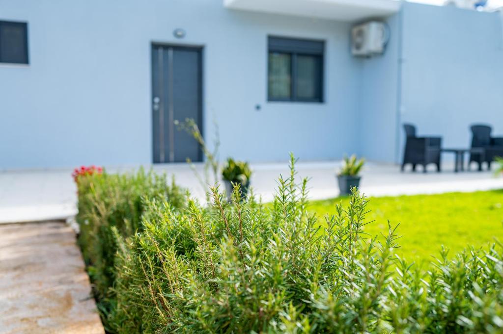 Zahrada ubytování Sebastian Luxury Homes