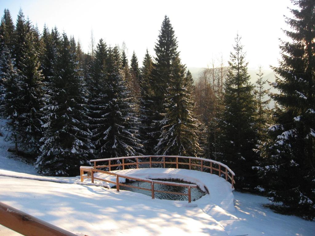 a wooden bridge in the snow next to trees at Chalet Nel Doch Villa Cheia in Canale San Bovo