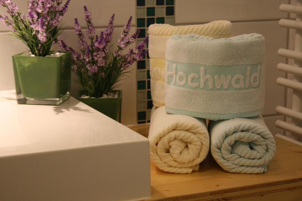 Fotografie z fotogalerie ubytování Hotel Hochwald v destinaci Bad Liebenzell