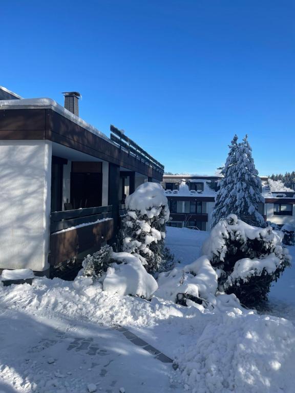 a house covered in snow next to trees at Feriendomizil Am Golfplatz-Möppis Hütte in Winterberg