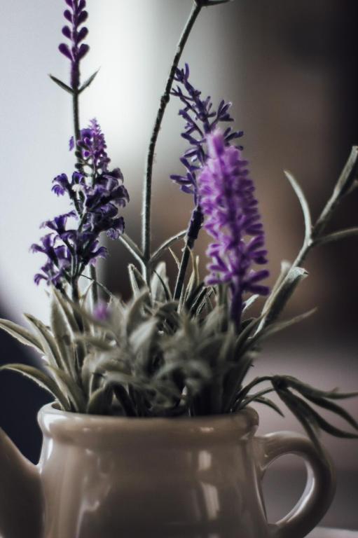 a white cup with purple flowers in it at Casa Lavenda in Plovdiv