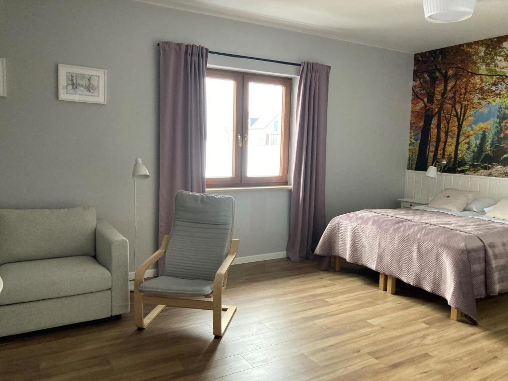 Apartamenty Black Lion - 5