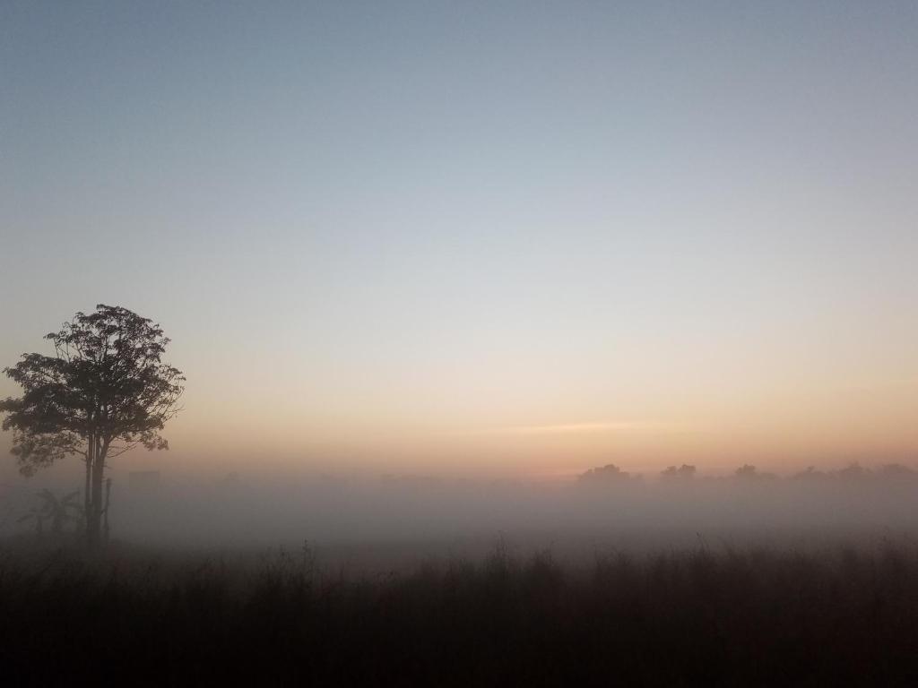 Fotografie z fotogalerie ubytování Uma farm v destinaci Nong Khai
