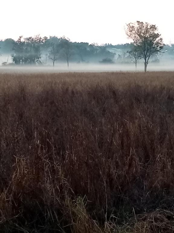 Fotografie z fotogalerie ubytování Uma farm v destinaci Nong Khai