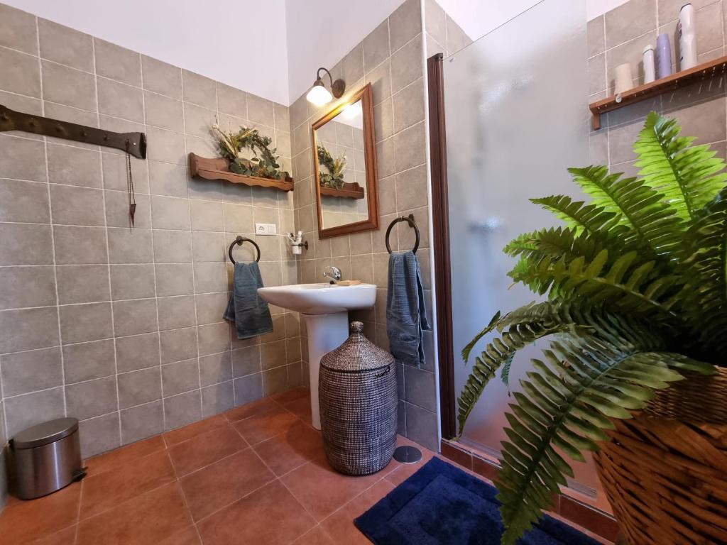 a bathroom with a sink and a mirror at Casa Antonia in Algarrobo