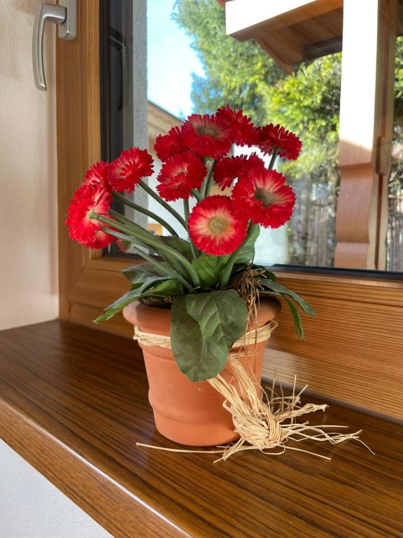 Fotografie z fotogalerie ubytování Haus Wittig v destinaci Sankt Ulrich am Pillersee