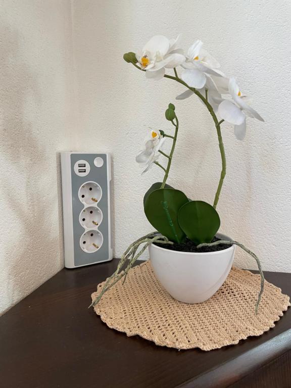 Fotografie z fotogalerie ubytování Haus Wittig v destinaci Sankt Ulrich am Pillersee