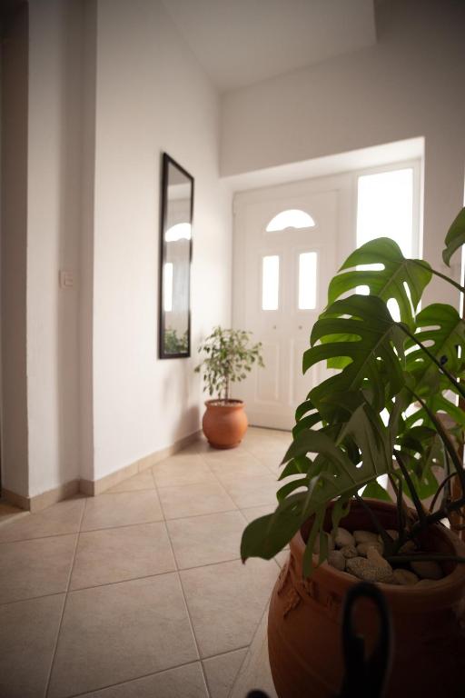 Fotografie z fotogalerie ubytování Nikorina apts v destinaci Lefkada