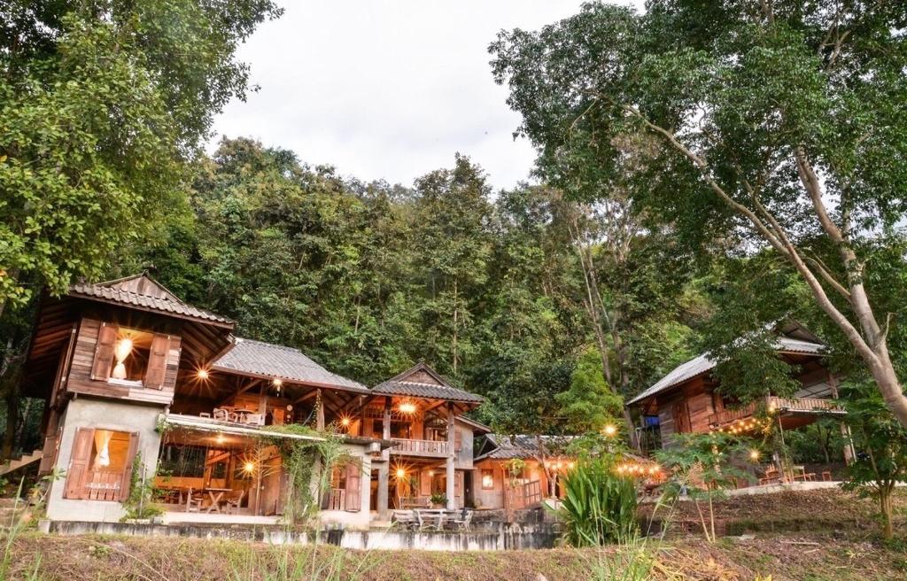 a house in the middle of a forest at 467 Chiang Dao in Chiang Dao