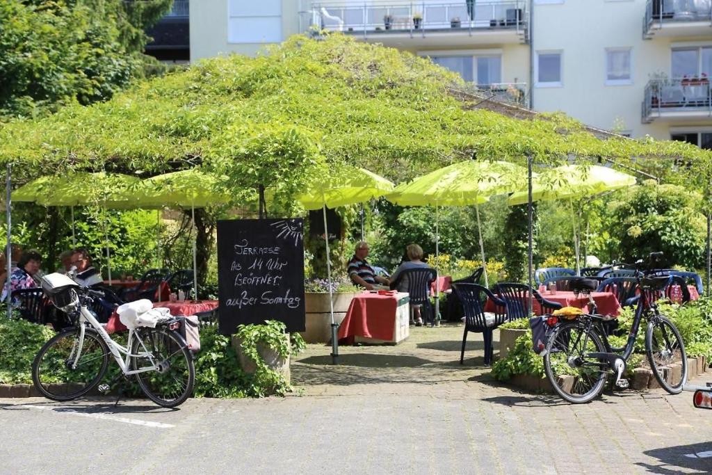 Zahrada ubytování Park Hotel