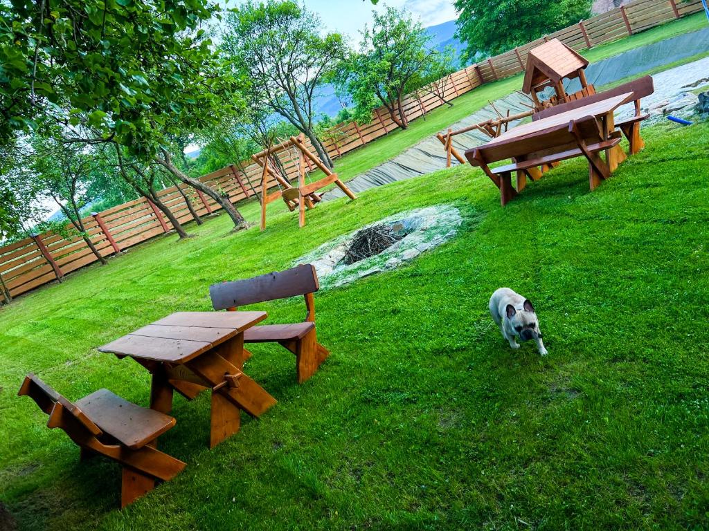 Vonkajšia záhrada v ubytovaní Przycup w Karkonoszach Apartamenty Karkonosze, Karpacz, Szklarska Poręba- Sauna Fińska