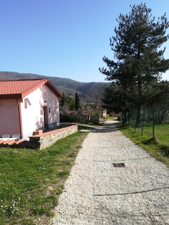 Príroda v okolí farmy
