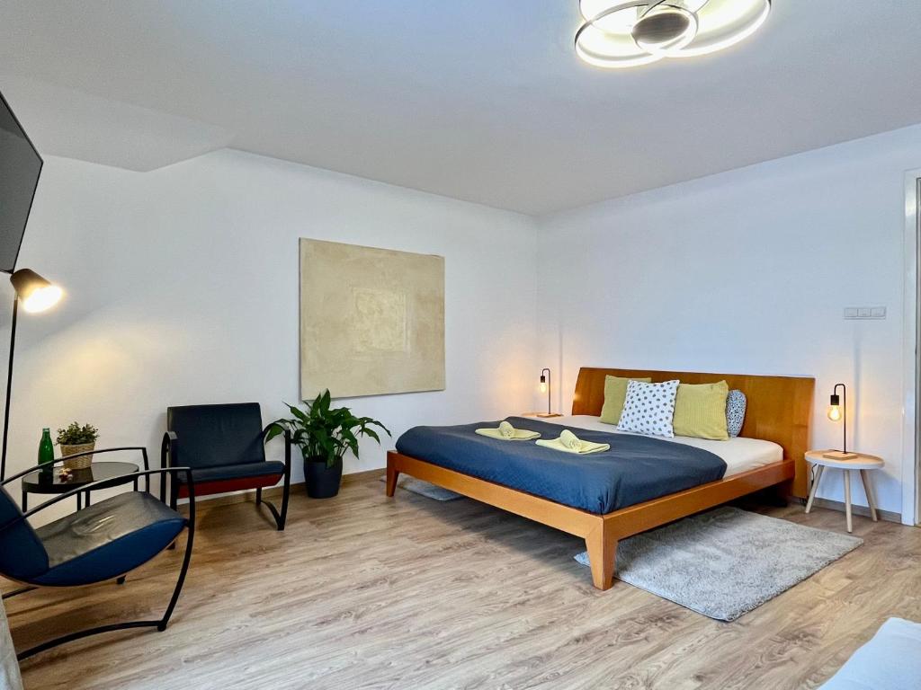 sypialnia z łóżkiem i krzesłem w obiekcie Apartmány Dlouhá w Taborze