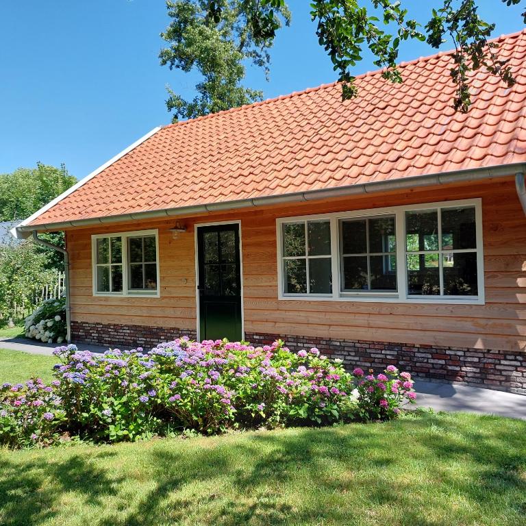 Zahrada ubytování Lodges near the Rhine - Sustainable Residence