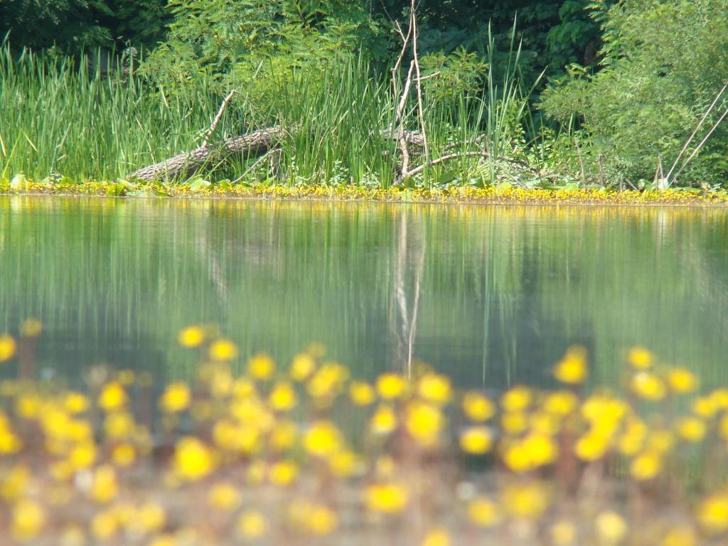 Fotografie z fotogalerie ubytování Rural Tourism Family Ravlic v destinaci Mužilovčica
