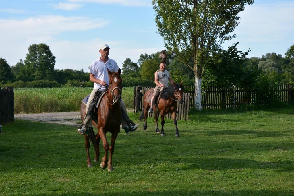 deux hommes à cheval dans l'herbe dans l'établissement Rural Tourism Family Ravlic, à Mužilovčica