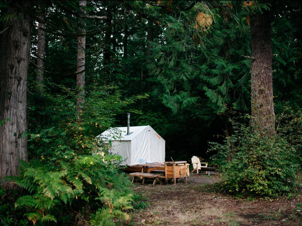 a white tent and a picnic table in the woods at Tentrr Signature Site - Cascade Rose Alpaca Farm Stay in Carnation