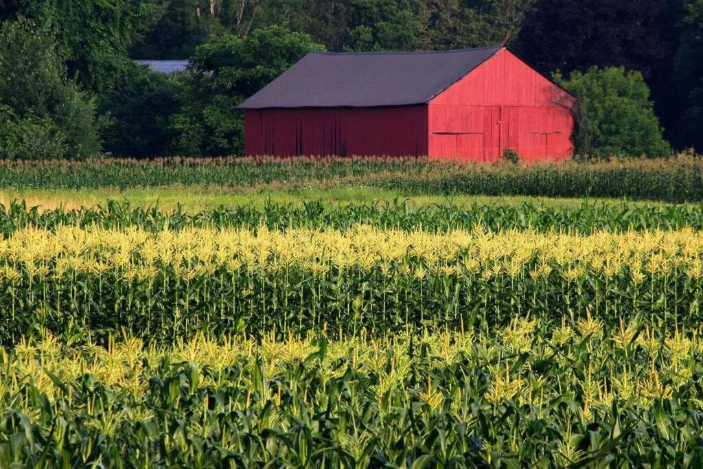 een rode schuur midden in een maïsveld bij Amherst Country OASIS Perfect Location UMass in Hadley