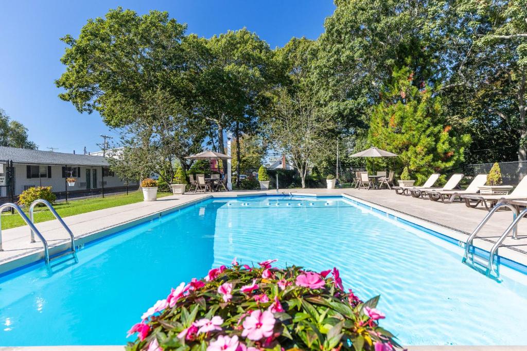 a swimming pool with chairs and flowers in a yard at Falmouth Heights Motor Lodge in Falmouth