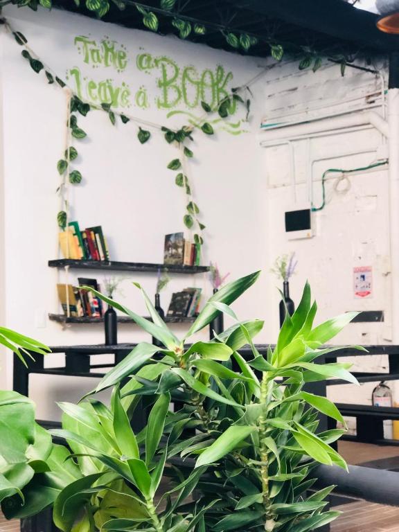 Zahrada ubytování Casa Egos Pop Laureles