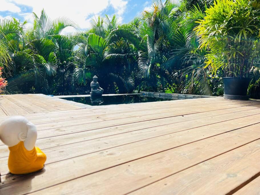 Ô Palm : dans un petit écrin de verdure